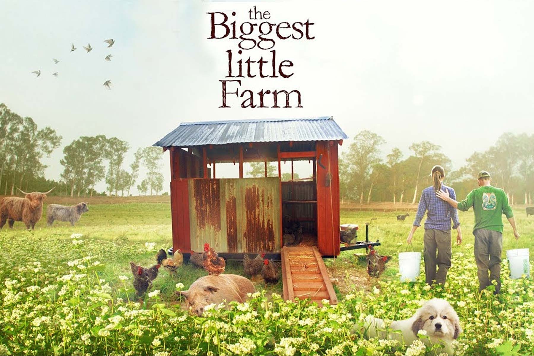 Farm live. Маленькая ферма. The biggest little Farm. Большая маленькая ферма.