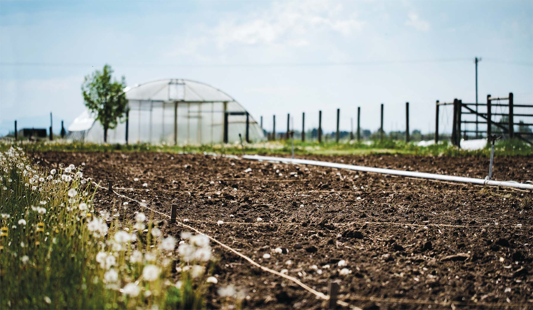 Five Indigenous Gardens in Bozeman Produce More Than Just Food | Edible ...