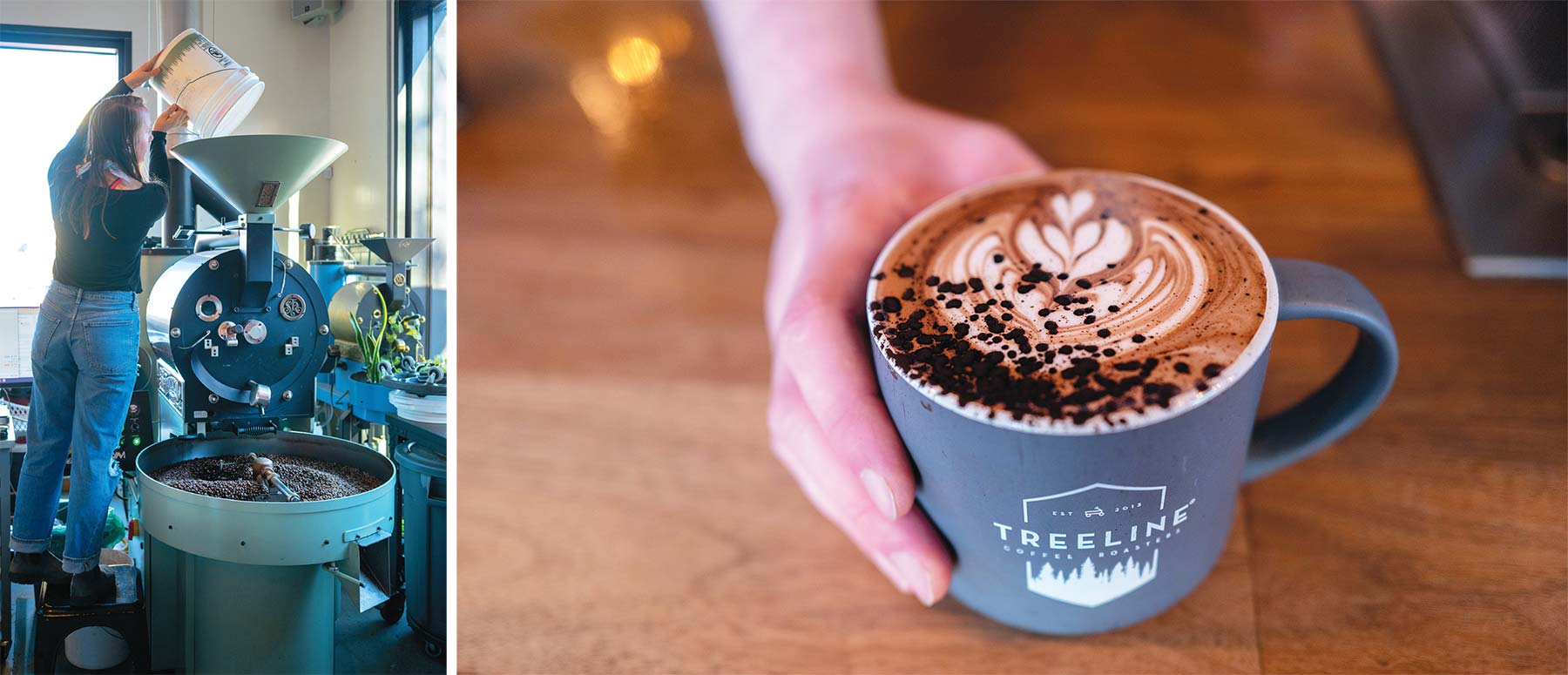 Treeline Coffee Roasters